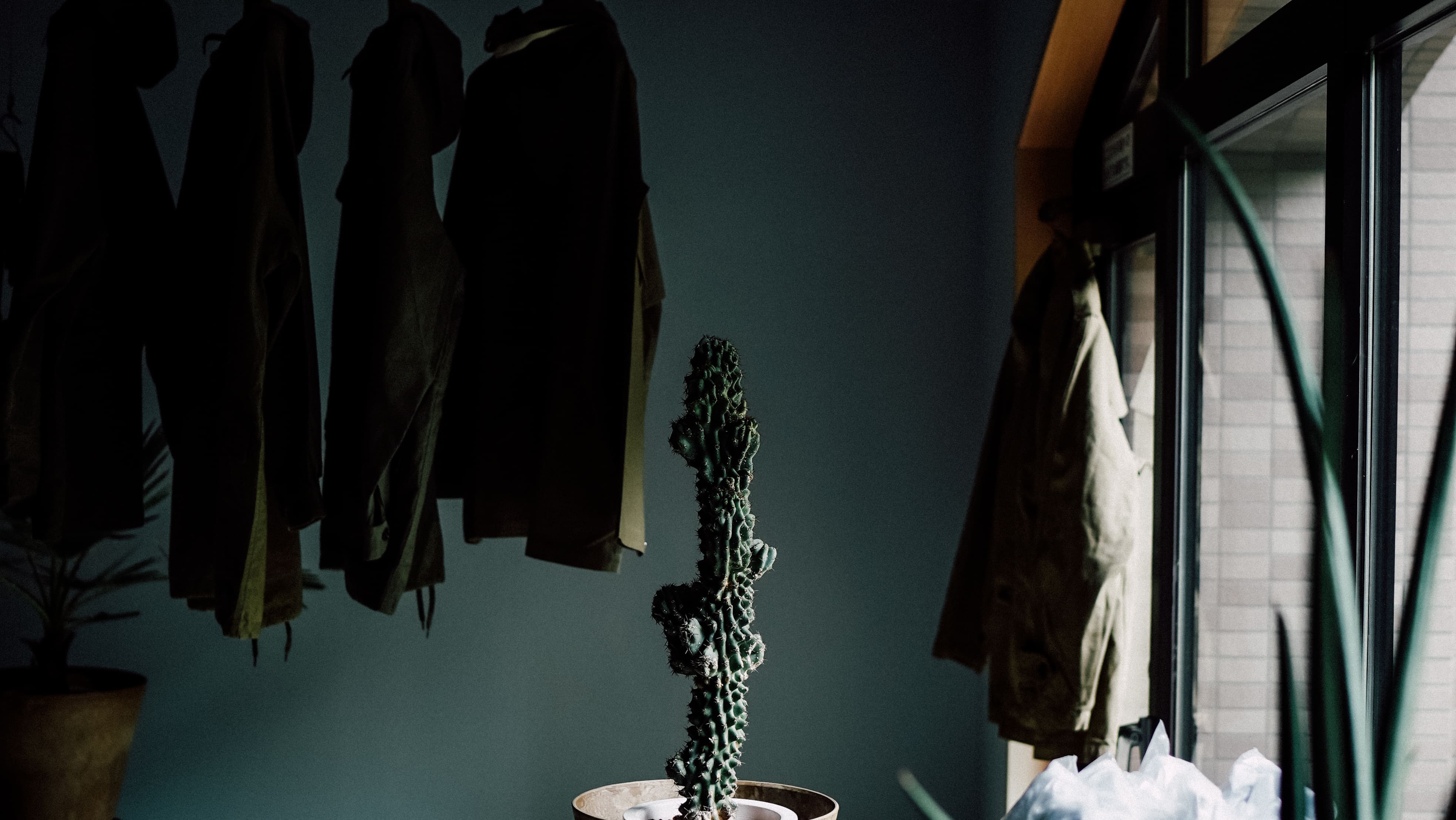 shicaflowerイメージ